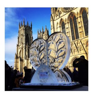 York Ice Trail