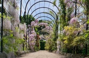 Trentham Gardens Shopping Village ~ COACH TRAVEL ONLY