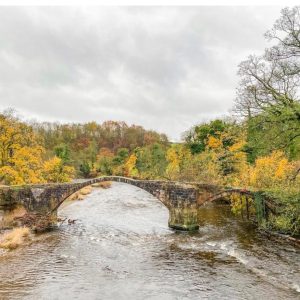 Ribble Valley & Clitheroe Market